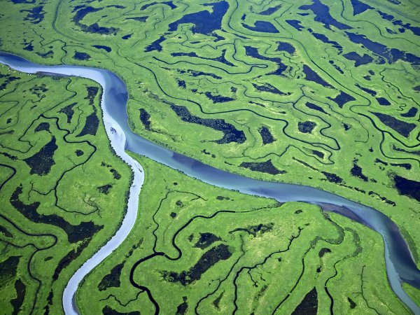 Delta Alaska