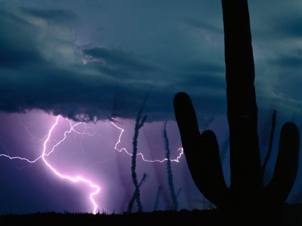 Desert Storm
