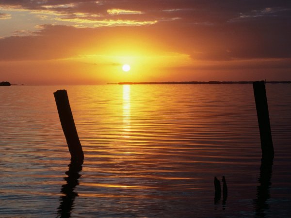 Everglades