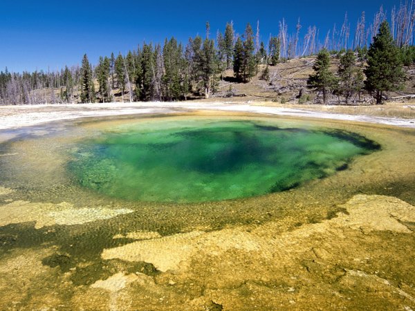 Geyser