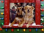 waiting santa