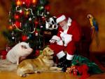 Santa friends