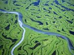 Delta Alaska