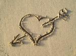 heartsand